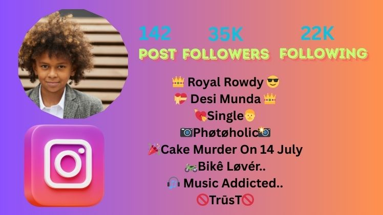 Instagram Bio For Boys Attitude