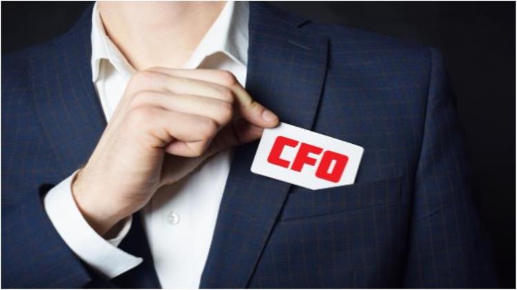 The Crucial Role of a CFO in India: Driving Strategy and Financial Success